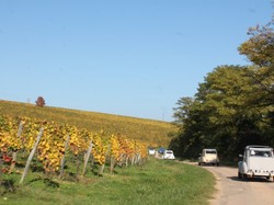 Illustration de la galerie