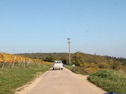 Illustration de la galerie