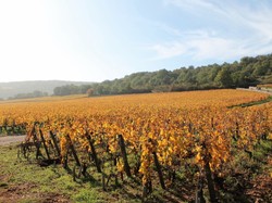 Illustration de la galerie