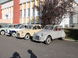 Illustration de la galerie