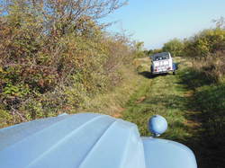 Illustration de la galerie