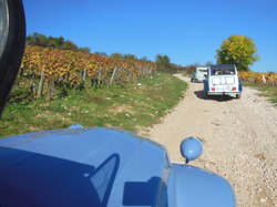 Illustration de la galerie