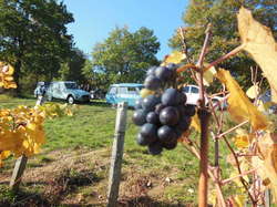 Illustration de la galerie