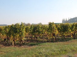 Illustration de la galerie