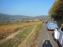 Illustration de la galerie