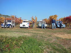 Illustration de la galerie