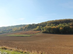 Illustration de la galerie