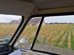 Illustration de la galerie