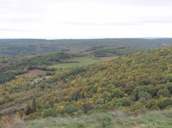 Illustration de la galerie