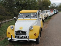 Illustration de la galerie