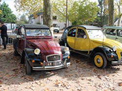 Illustration de la galerie