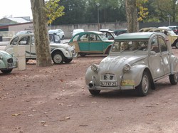 Illustration de la galerie