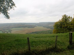 Illustration de la galerie