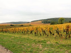 Illustration de la galerie