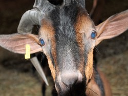 Illustration de la galerie