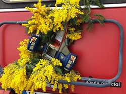 Illustration de la galerie