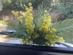 Illustration de la galerie