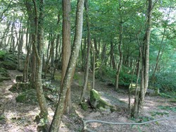 Illustration de la galerie