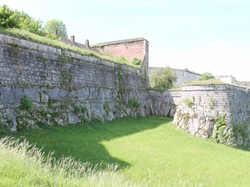 Illustration de la galerie